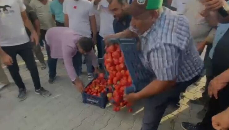 Çiftçiler ürünlerini yere döküp Erdoğan’a seslendiler