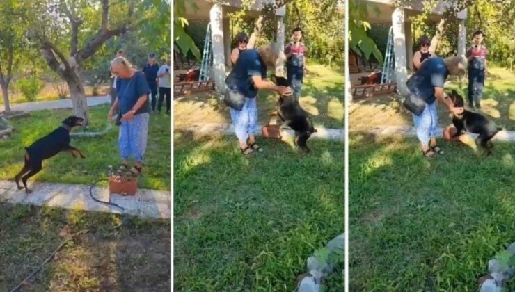 Duygulandıran kavuşma… Tina, 74 gün sonra Angela Berzeg’le buluştu