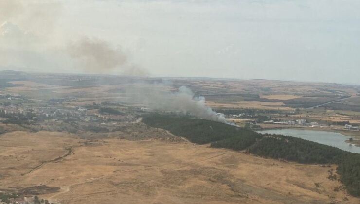 Edirne’de orman yangını