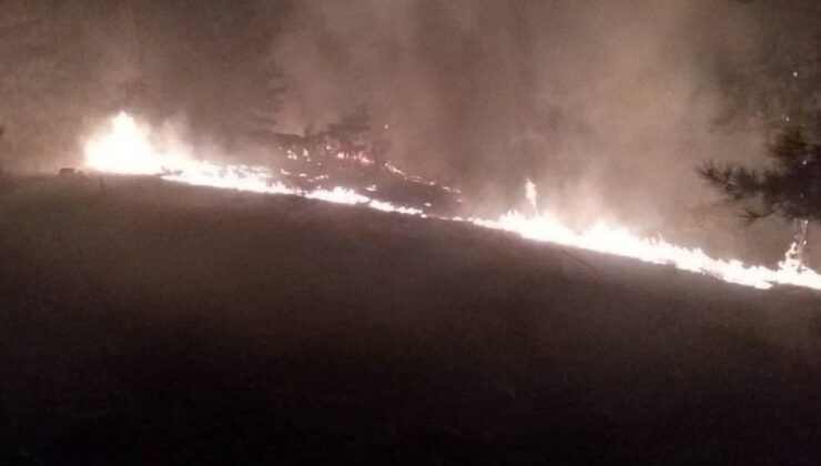 Köyceğiz’de orman yangını